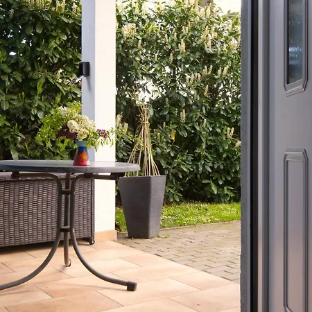 Strandmuschel Am Ostseestrand *