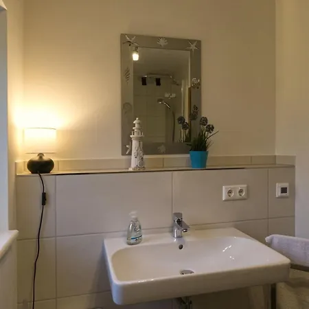 Strandmuschel Am Ostseestrand Zierow