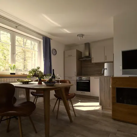 Strandmuschel Am Ostseestrand