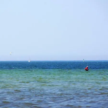 Strandmuschel Am Ostseestrand Nyaraló