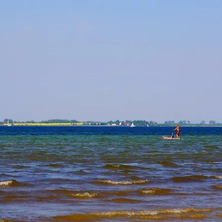 Strandmuschel Am Ostseestrand Nyaraló