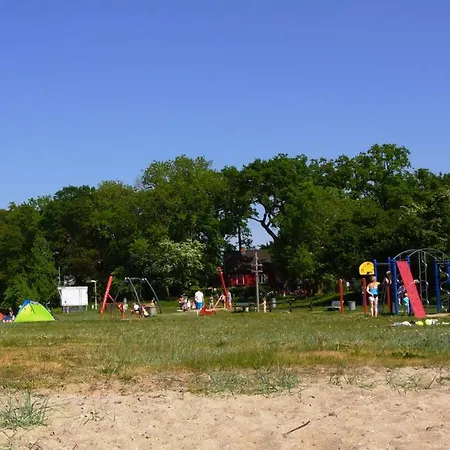 Strandmuschel Am Ostseestrand *