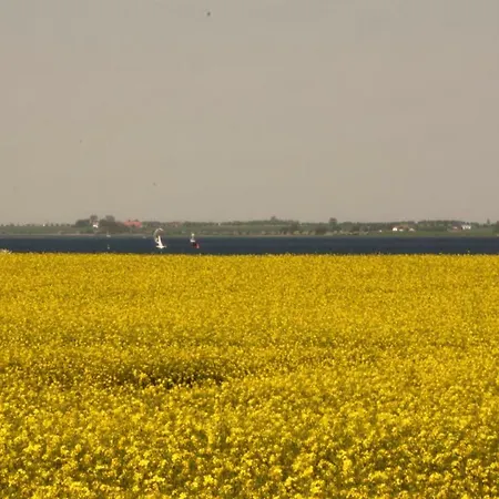 Nyaraló Strandmuschel Am Ostseestrand Zierow