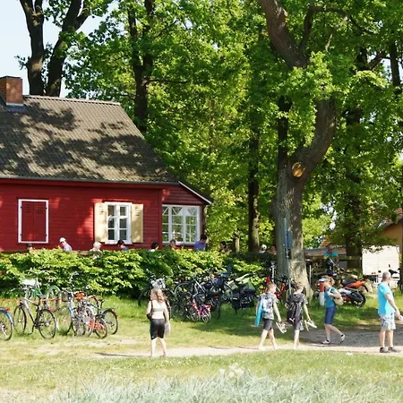 Nyaraló Strandmuschel Am Ostseestrand