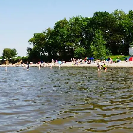 Strandmuschel Am Ostseestrand Zierow