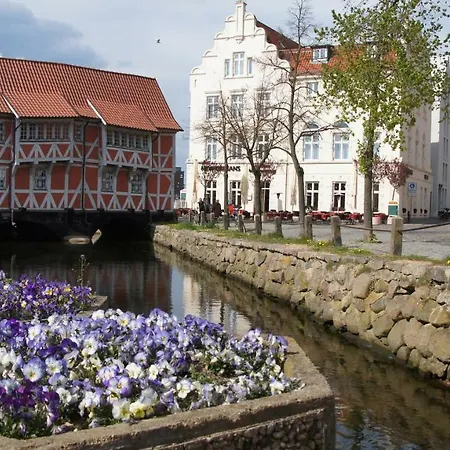 Strandmuschel Am Ostseestrand *