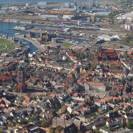Strandmuschel Am Ostseestrand Zierow